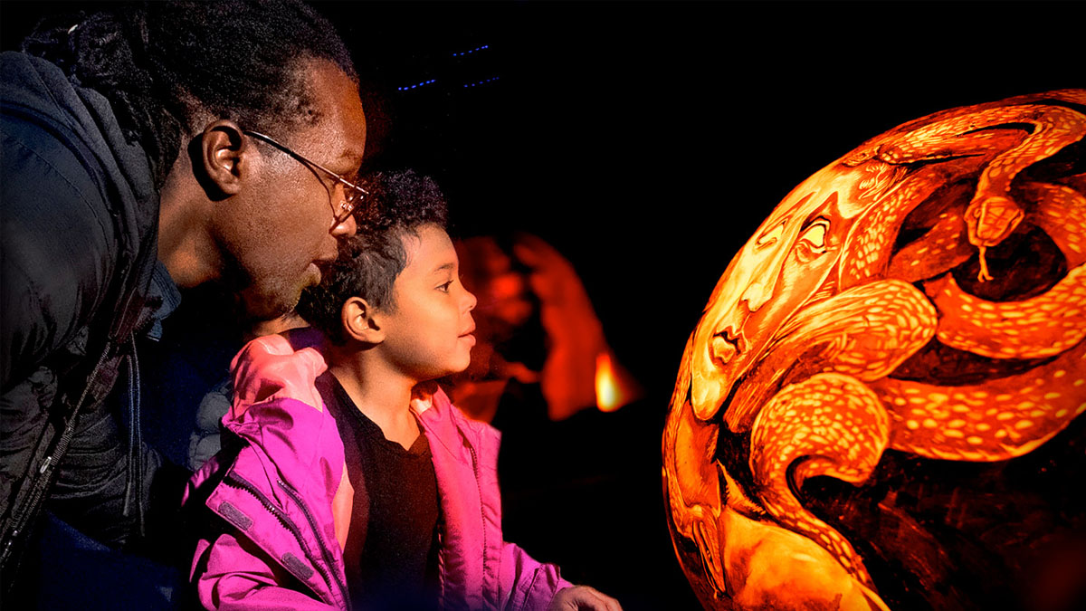 Night of 1,000 Jack-O-Lanterns at Chicago Botanic Garden